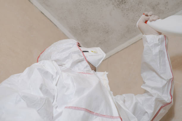 Seaside Heights, NJ Mold Remediation Company