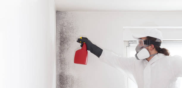 Best Post-Flood Mold Remediation in Seaside Heights, NJ